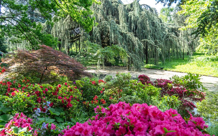 Arboretum Al Gau, Espartignac, France, France